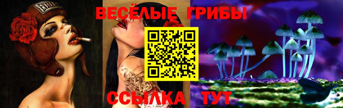 Псилоцибиновые грибы мухоморы Сыктывкар